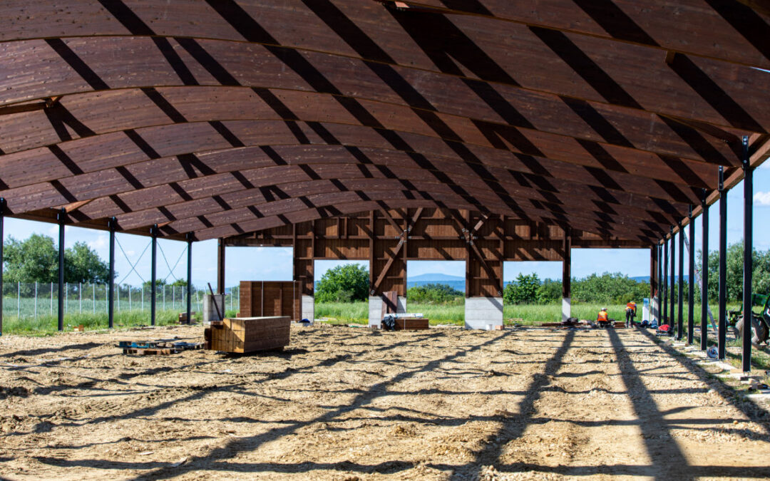 Proiect ferma Codrea