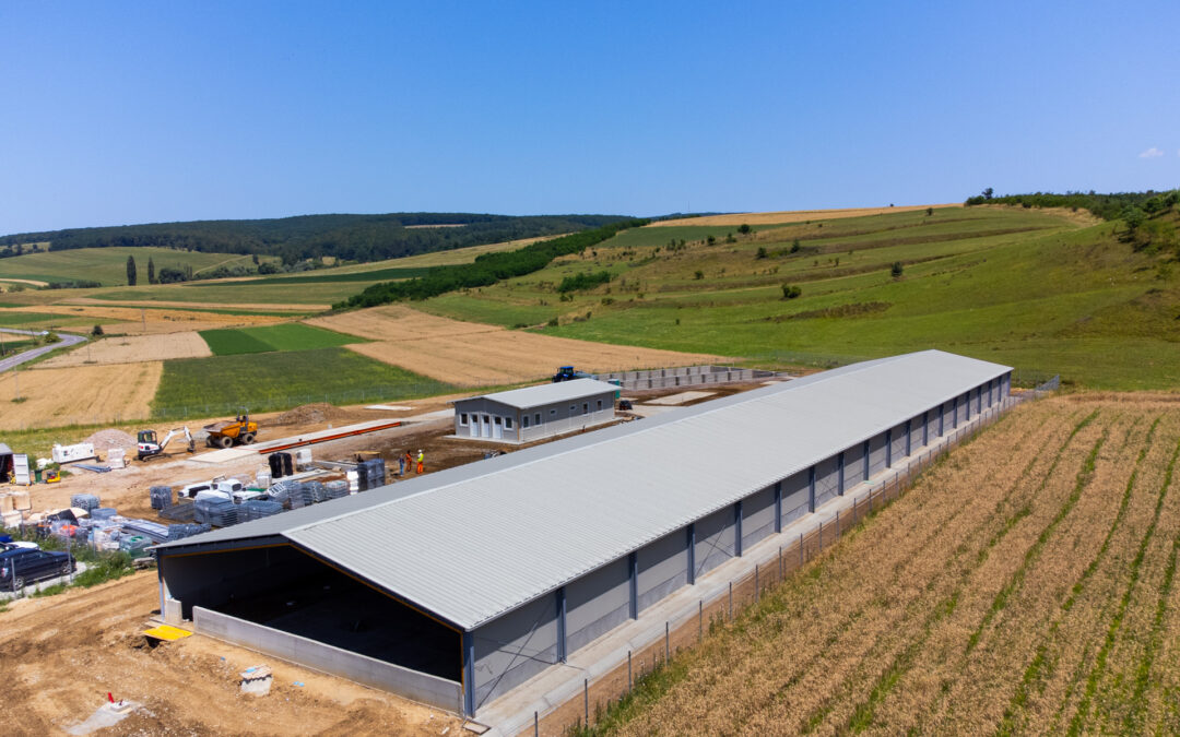 Ferma zootehnică Araci